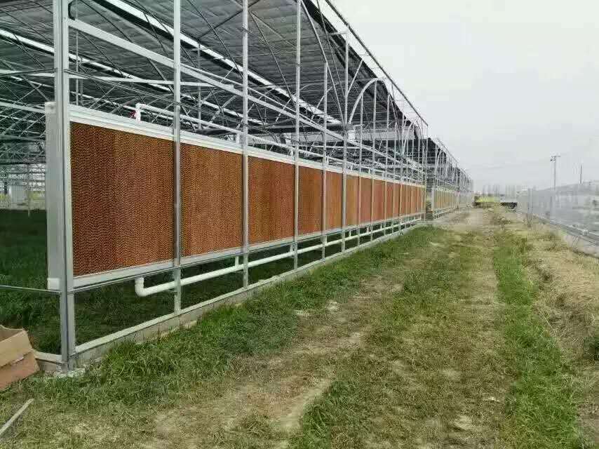 大棚降温湿帘墙