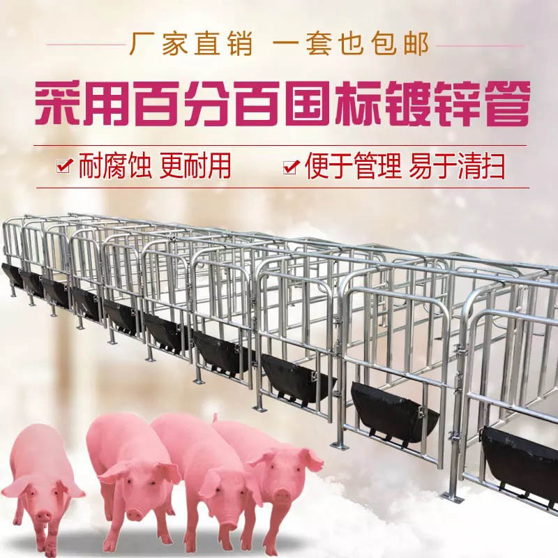 育肥栏_猪用育肥栏